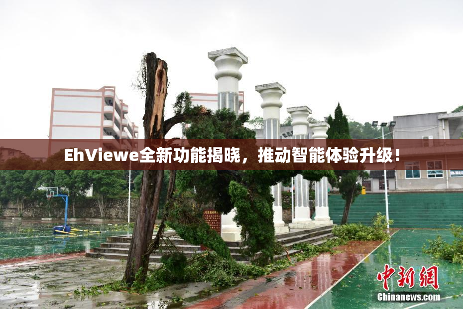 EhViewe全新功能揭晓，推动智能体验升级！