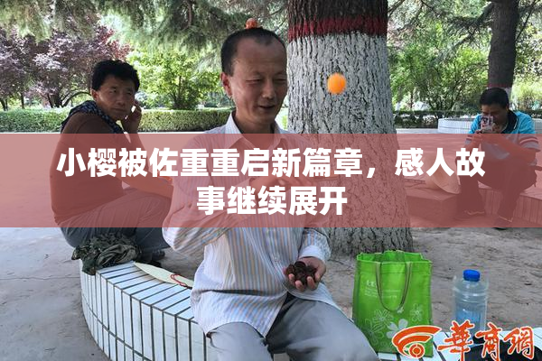 小樱被佐重重启新篇章，感人故事继续展开