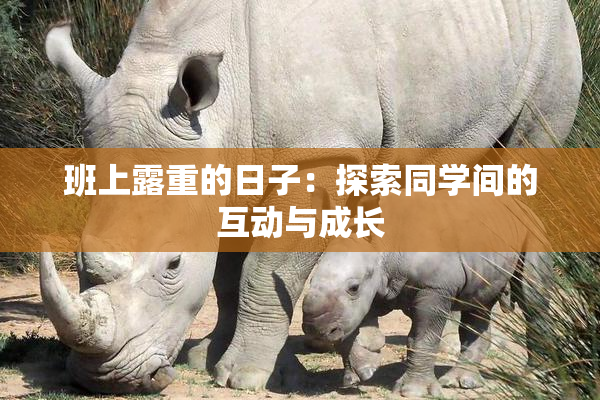 班上露重的日子：探索同学间的互动与成长