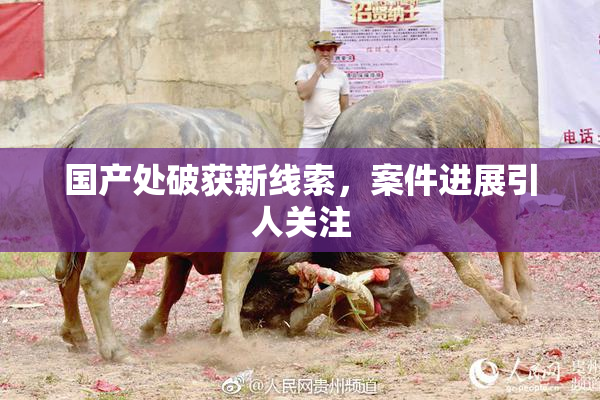 国产处破获新线索，案件进展引人关注