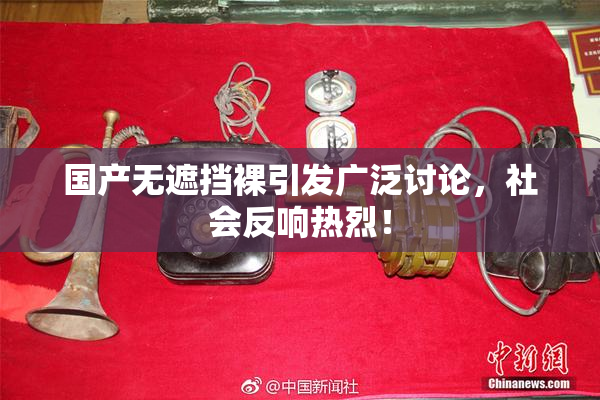 国产无遮挡裸引发广泛讨论，社会反响热烈！
