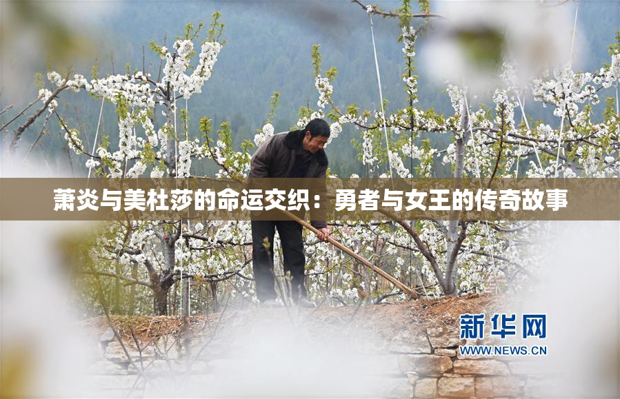 萧炎与美杜莎的命运交织：勇者与女王的传奇故事