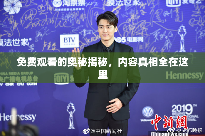 免费观看的奥秘揭秘，内容真相全在这里