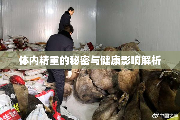 体内精重的秘密与健康影响解析