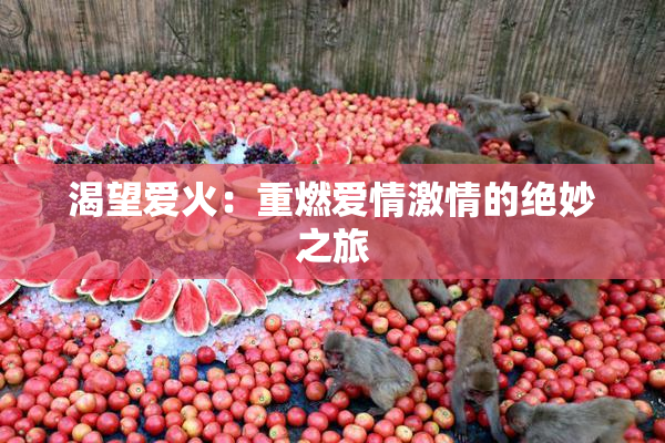 渴望爱火：重燃爱情激情的绝妙之旅