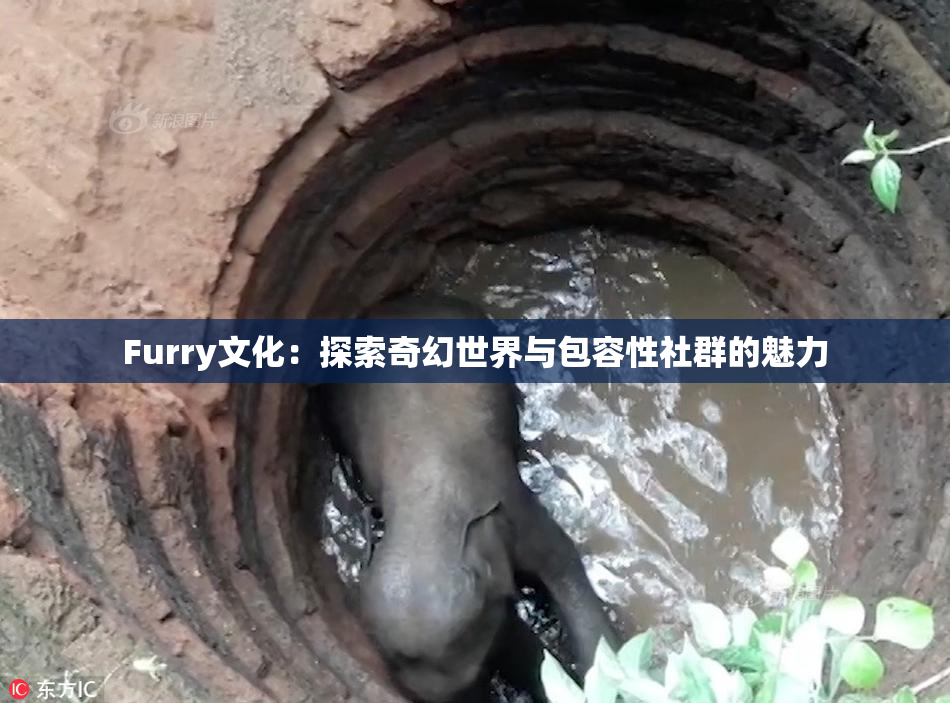 Furry文化：探索奇幻世界与包容性社群的魅力