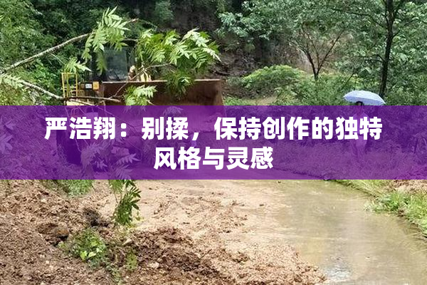 严浩翔：别揉，保持创作的独特风格与灵感