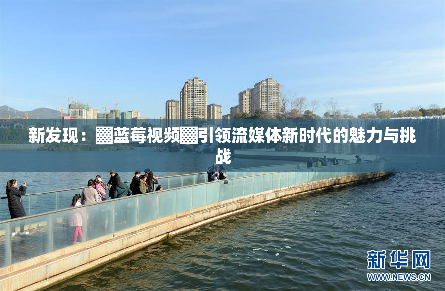 新发现：▓蓝莓视频▓引领流媒体新时代的魅力与挑战
