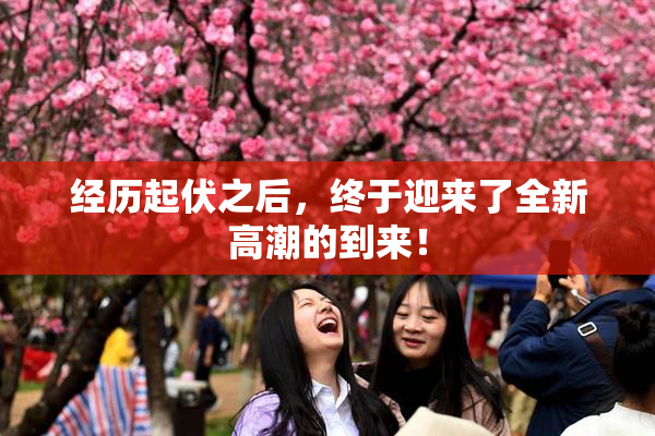 经历起伏之后，终于迎来了全新高潮的到来！