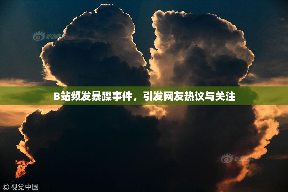B站频发暴躁事件，引发网友热议与关注