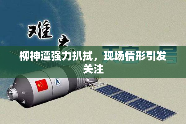 柳神遭强力扒拭，现场情形引发关注