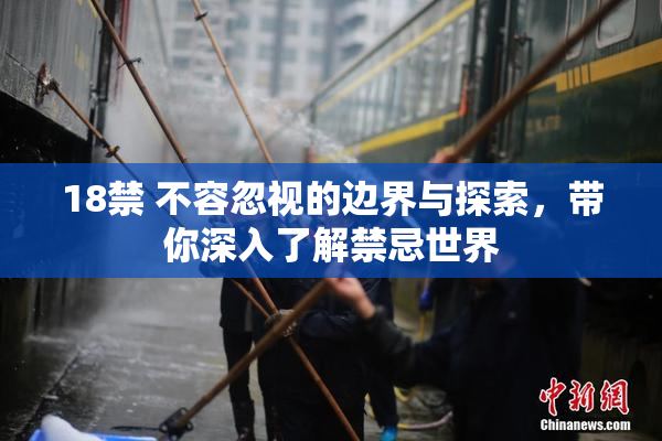 18禁 不容忽视的边界与探索，带你深入了解禁忌世界