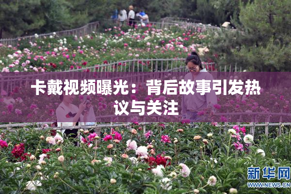 卡戴视频曝光：背后故事引发热议与关注