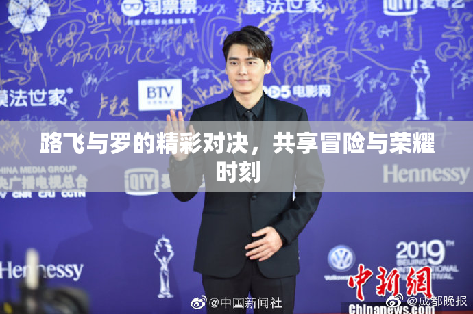 路飞与罗的精彩对决，共享冒险与荣耀时刻