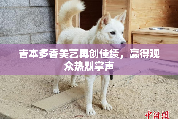 吉本多香美艺再创佳绩，赢得观众热烈掌声