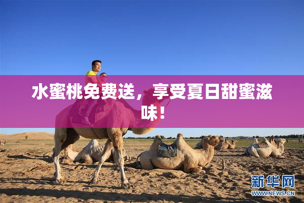 水蜜桃免费送，享受夏日甜蜜滋味！
