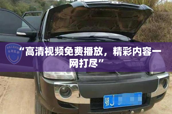 “高清视频免费播放，精彩内容一网打尽”