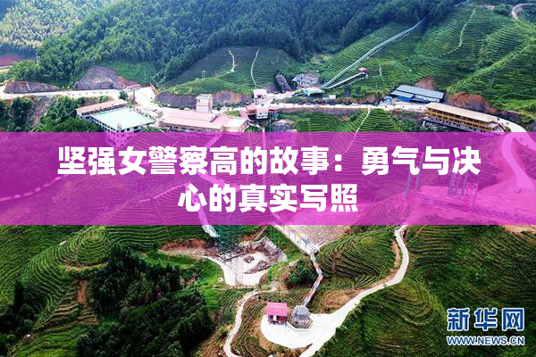 坚强女警察高的故事：勇气与决心的真实写照