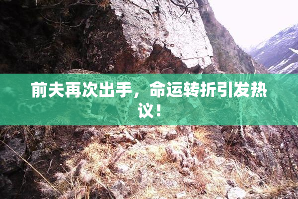前夫再次出手，命运转折引发热议！