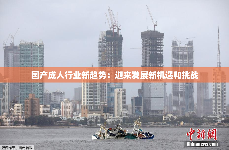 国产成人行业新趋势：迎来发展新机遇和挑战