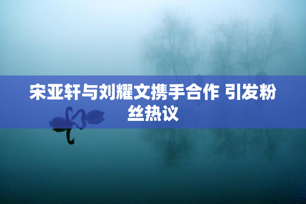 宋亚轩与刘耀文携手合作 引发粉丝热议
