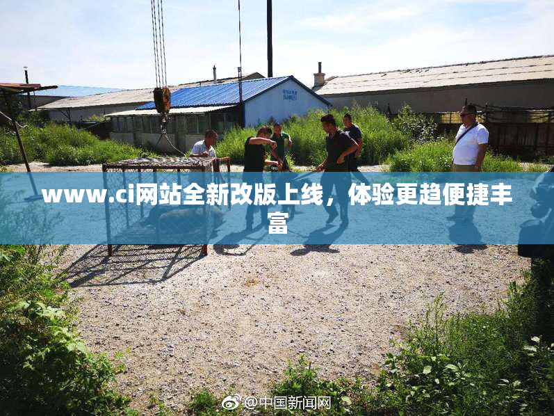 www.ci网站全新改版上线，体验更趋便捷丰富