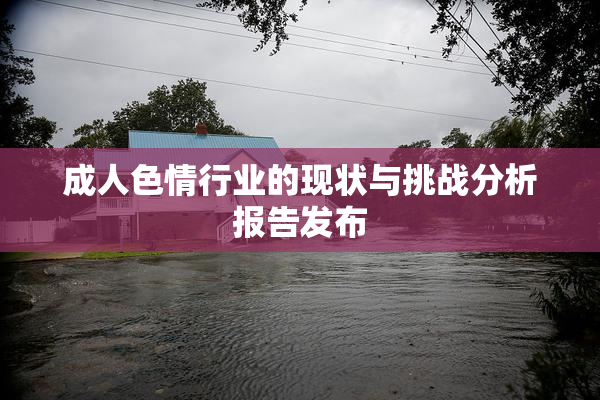 成人色情行业的现状与挑战分析报告发布