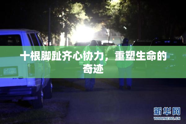 十根脚趾齐心协力，重塑生命的奇迹