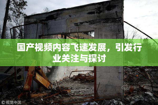 国产视频内容飞速发展，引发行业关注与探讨