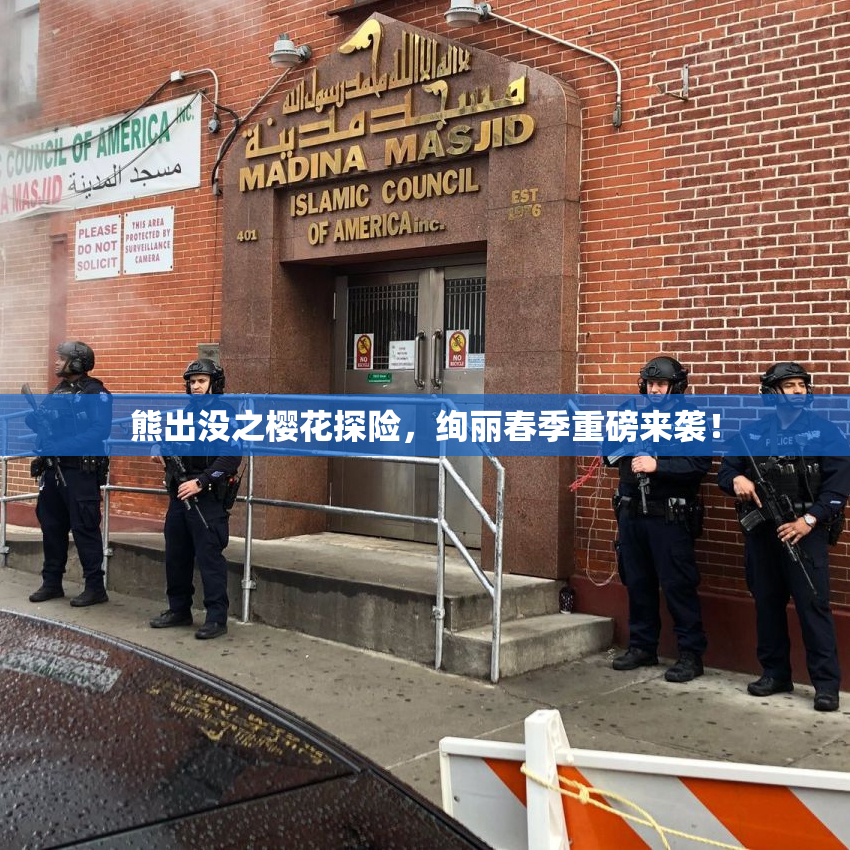 熊出没之樱花探险，绚丽春季重磅来袭！