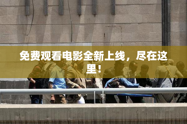 免费观看电影全新上线，尽在这里！