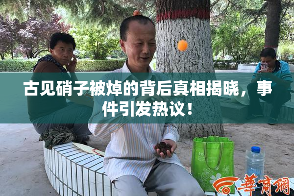 古见硝子被焯的背后真相揭晓，事件引发热议！
