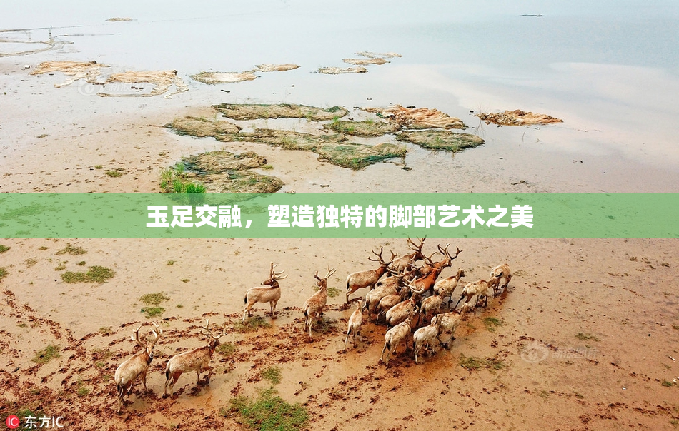 玉足交融，塑造独特的脚部艺术之美