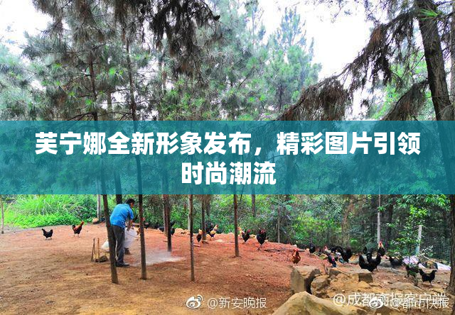芙宁娜全新形象发布，精彩图片引领时尚潮流