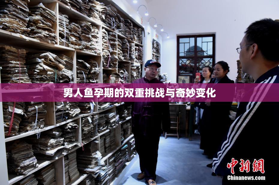 男人鱼孕期的双重挑战与奇妙变化