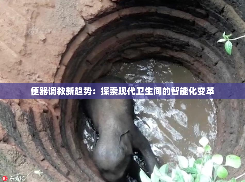 便器调教新趋势：探索现代卫生间的智能化变革