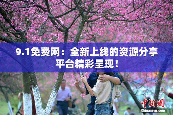 9.1免费网：全新上线的资源分享平台精彩呈现！