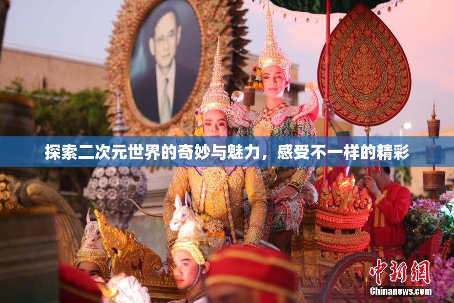 探索二次元世界的奇妙与魅力，感受不一样的精彩