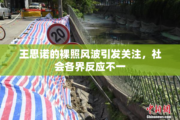 王思诺的裸照风波引发关注，社会各界反应不一