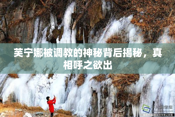 芙宁娜被调教的神秘背后揭秘，真相呼之欲出