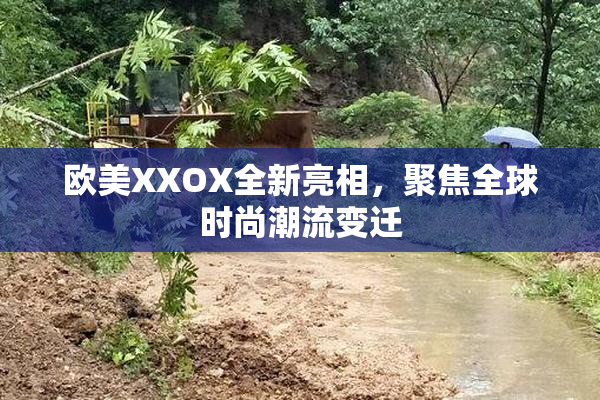 欧美XXOX全新亮相，聚焦全球时尚潮流变迁