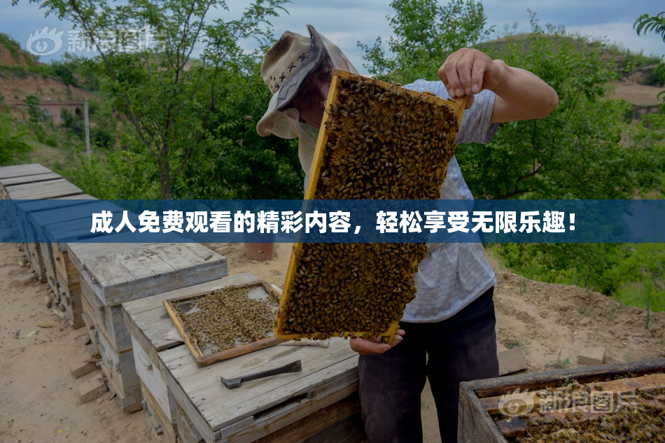 成人免费观看的精彩内容，轻松享受无限乐趣！