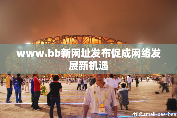 www.bb新网址发布促成网络发展新机遇
