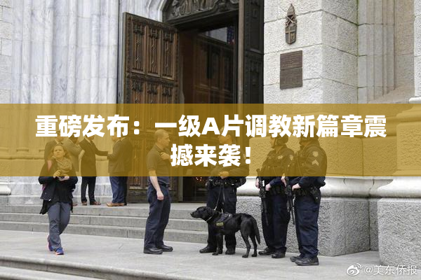 重磅发布：一级A片调教新篇章震撼来袭！