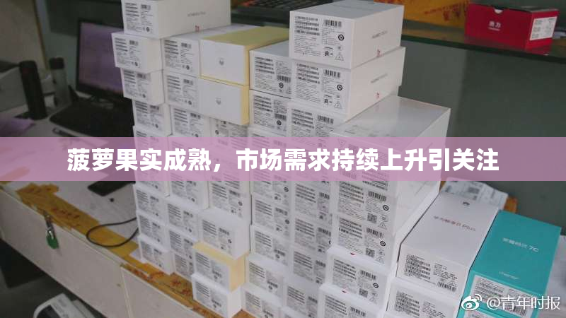 菠萝果实成熟，市场需求持续上升引关注