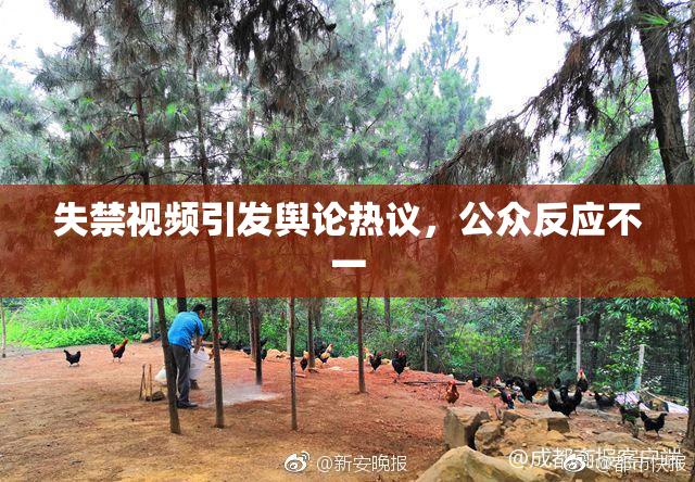 失禁视频引发舆论热议，公众反应不一
