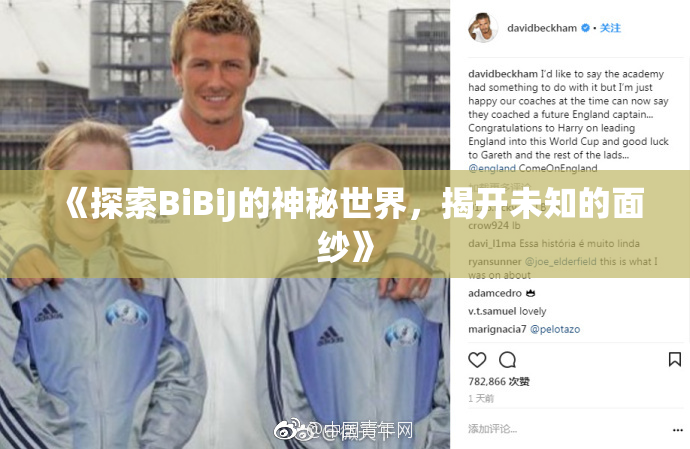 《探索BiBiJ的神秘世界，揭开未知的面纱》