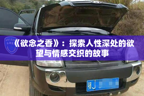 《欲念之香》：探索人性深处的欲望与情感交织的故事