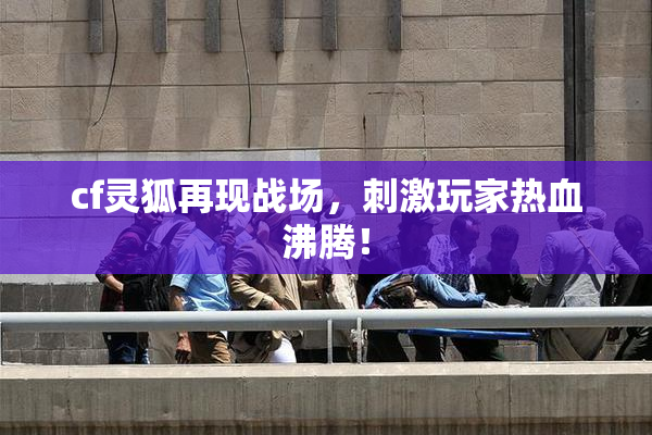 cf灵狐再现战场，刺激玩家热血沸腾！