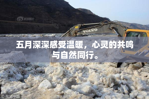 五月深深感受温暖，心灵的共鸣与自然同行。